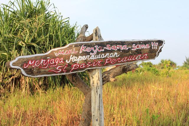 Pari Solata Seaview Homestay Syariah Kepulauan Seribu ภายนอก รูปภาพ