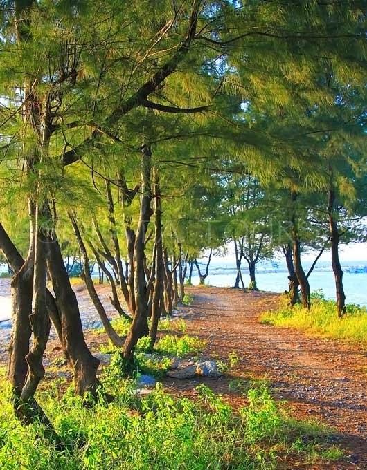 Pari Solata Seaview Homestay Syariah Kepulauan Seribu ภายนอก รูปภาพ
